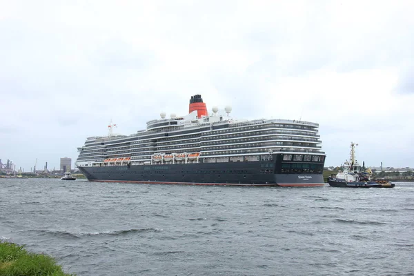 Velsen, Holanda - 7 de junho de 2017: Rainha Vitória, Cunard — Fotografia de Stock
