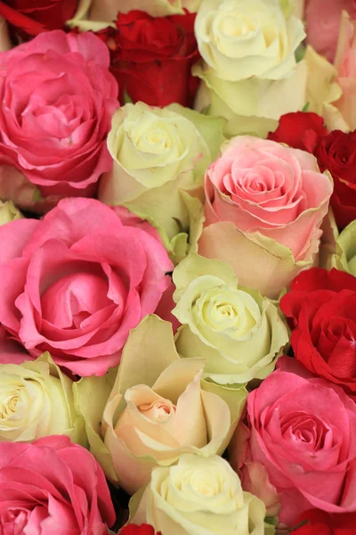 Pink mixed wedding roses — Stock Photo, Image