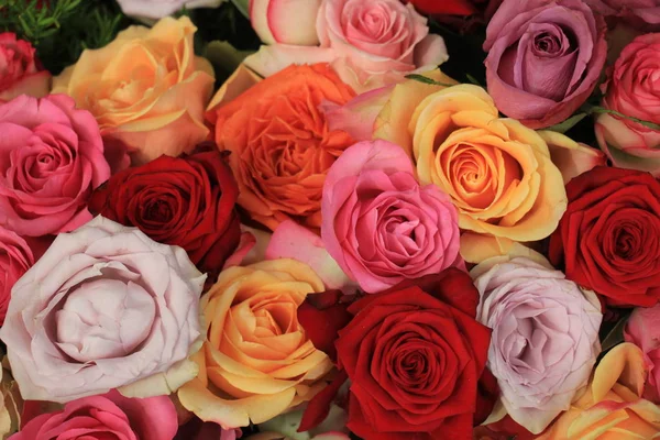 Colorful wedding roses — Stock Photo, Image