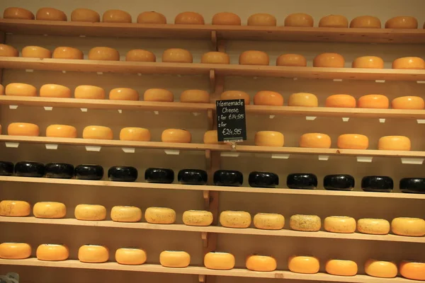 Hollanda peynir mağaza