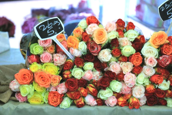 Roses at a flower market — Stock Photo, Image