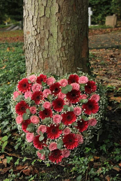 Sympathie bloemen in de buurt van een boom — Stockfoto