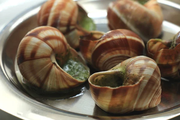 Escargots de Bourgogne — Fotografia de Stock