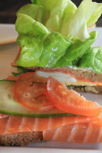 Sandwich mit frischem Lachs — Stockfoto