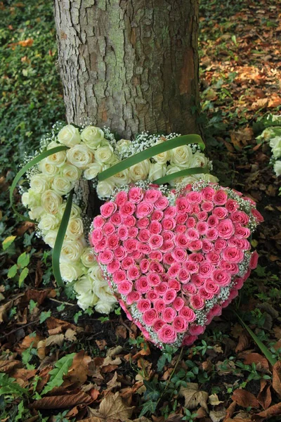 Sympatii kwiaty w kształcie serca — Zdjęcie stockowe
