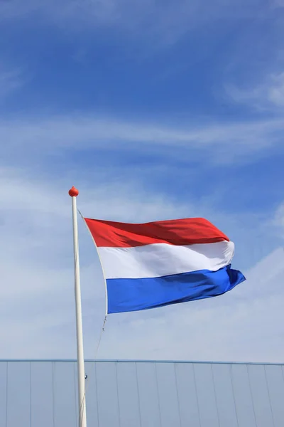 The Dutch flag — Stock Photo, Image