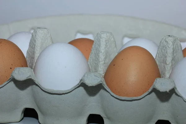 Oeufs dans une boîte en carton — Photo