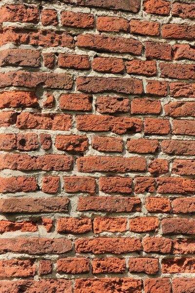 Old brick wall — Stock Photo, Image