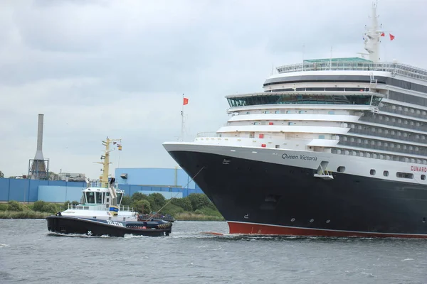 Velsen, Nizozemsko - 7th červen 2017: Královna Viktorie, Cunard — Stock fotografie