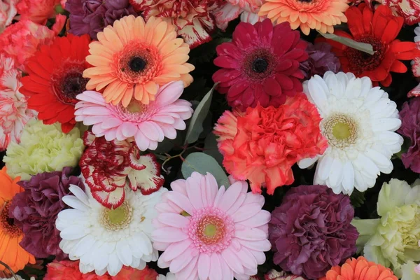 ガーバーのカラフルな花束 — ストック写真