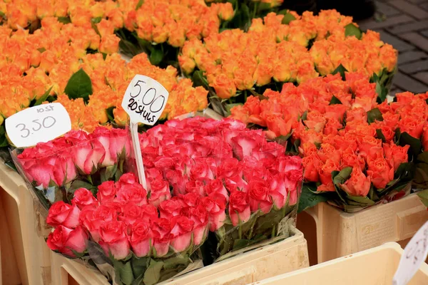 Roses à un marché aux fleurs — Photo