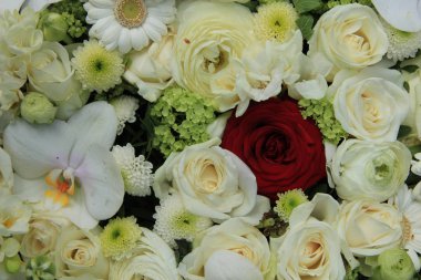 karışık beyaz gelin buketi içinde tek kırmızı gül