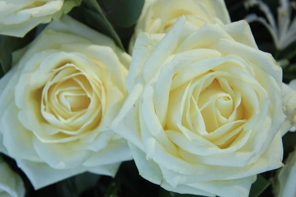 Große Elfenbeinweiße Rosen Einem Floralen Hochzeitsarrangement — Stockfoto