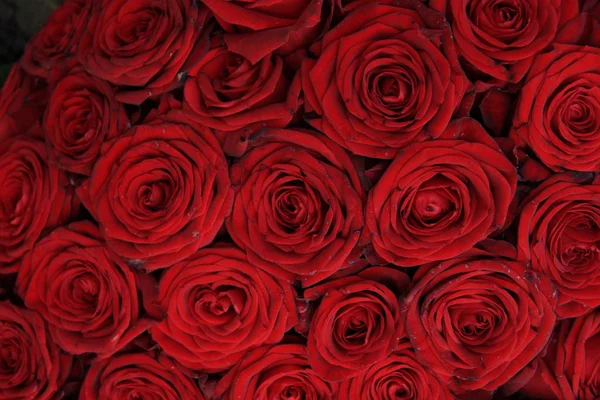 Röda rosor i brudbukett — Stockfoto
