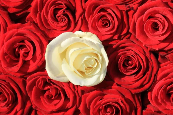 Rosas em buquê de noiva — Fotografia de Stock