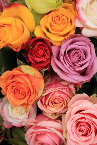 Multicolored wedding roses — Stock Photo, Image