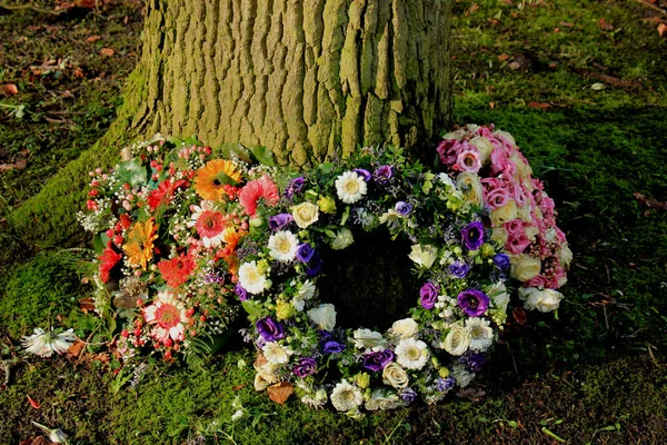 Sympathy wreath near a tree — Stock Photo, Image