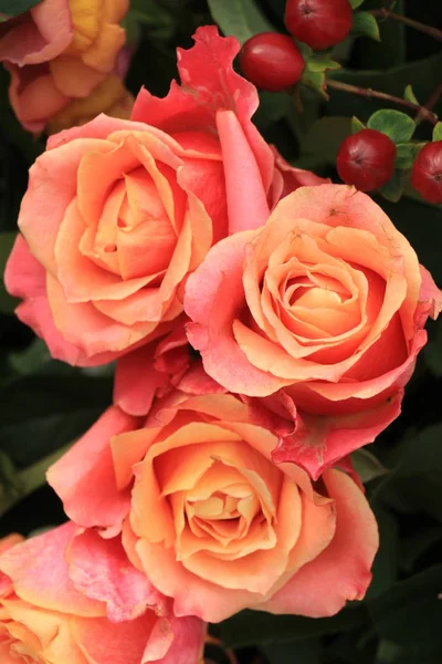 Grote roze rozen — Stockfoto
