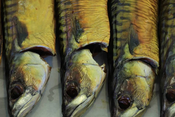 Smoked mackerel on market stall — Stock Photo, Image