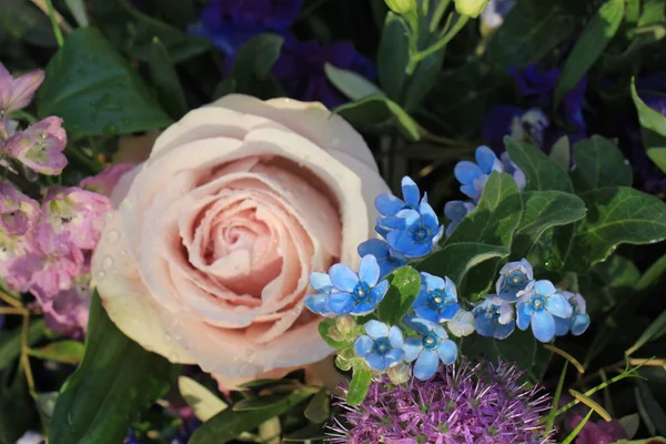 Big purple roses — Stock Photo, Image