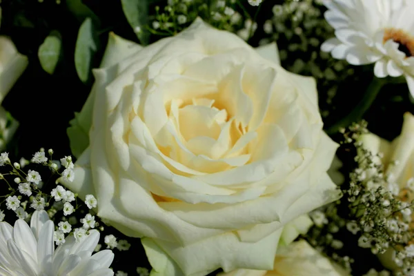 Rose Blanche Dans Arrangement Mariage Bouquet Nuptiale — Photo