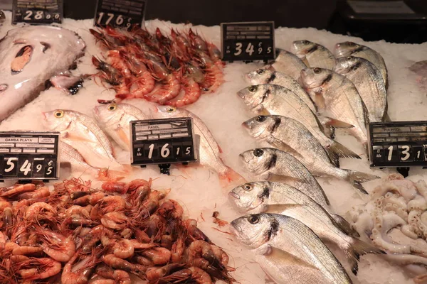 Barcelona, Spanien 30 september 2019: Fisk i et supermarked - Stock-foto