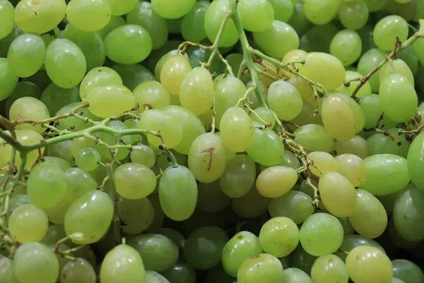 Grapes at the market — Stock Photo, Image