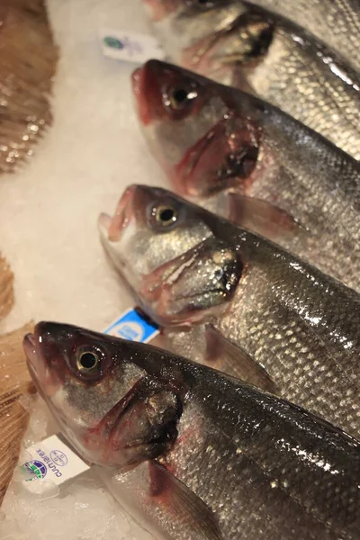 Barcelona, Espanha - 30 de setembro de 2019: Peixe em um supermercado — Fotografia de Stock