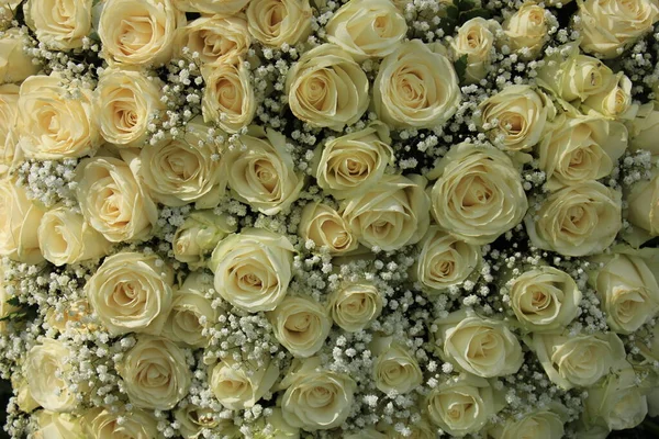 Rosa bianca e bouquet di gypsophila — Foto Stock