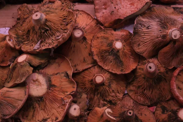 시장에 있는 버섯 — 스톡 사진
