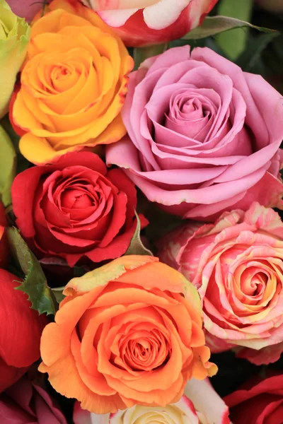 Multicolored wedding roses — Stock Photo, Image