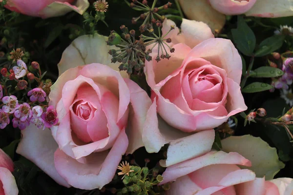 Pink wedding roses — Stock Photo, Image