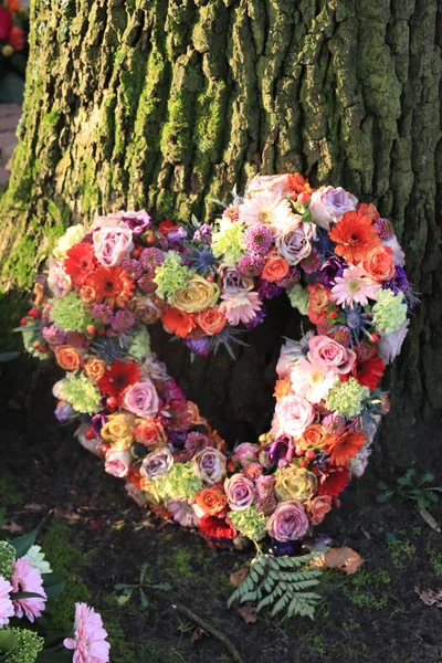 Hartvormige sympathie bloemen — Stockfoto