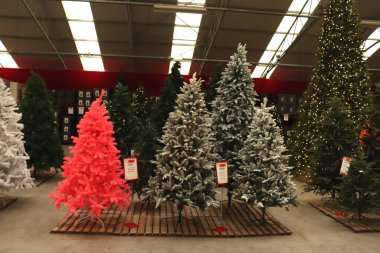 Aalsmeer, Hollanda - 7 Kasım 2018: Yapay Noel ağaçları