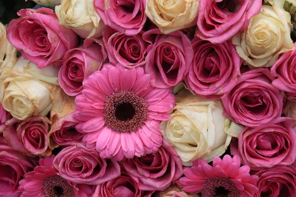 Рожева гербера і аранжування троянд — стокове фото