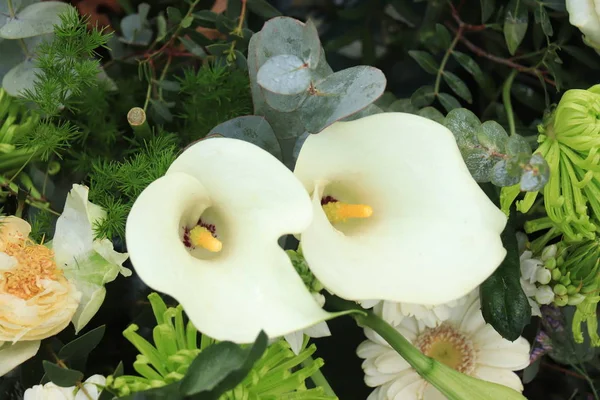 Arum blanco arreglo de flores —  Fotos de Stock