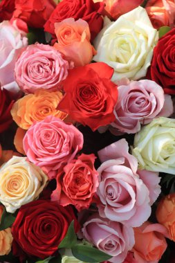 Düğün çiçekleri: çeşitli parlak renklerde güller