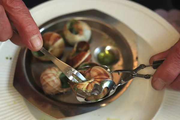 Homem Comendo Escargots Bourgogne Usando Tong Especial Garfo Caracol — Fotografia de Stock