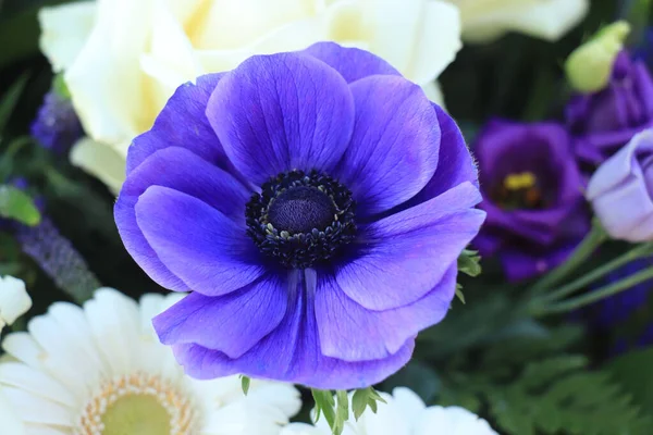 Bridal Bouquet White Blue Blue Anemone Sunlight — Stock Photo, Image