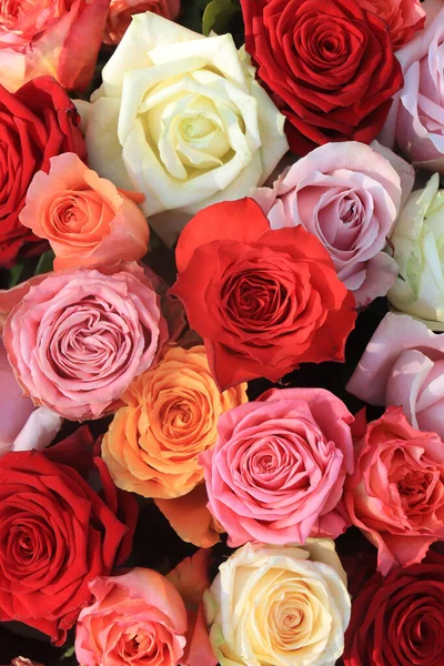 Весільні Квіти Троянди Різних Яскравих Кольорів — стокове фото