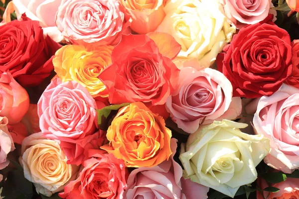 Flores Boda Rosas Varios Colores Brillantes — Foto de Stock