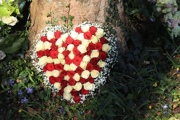 Hjärtformade Sympati Blommor Nära Ett Träd Rosor Rött Och Vitt — Stockfoto