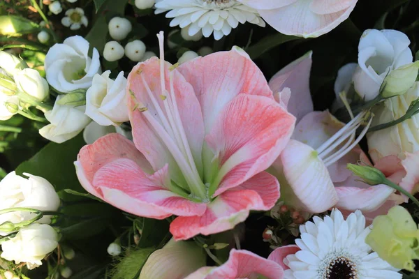 Gemengd Boeket Diverse Pastelkleuren — Stockfoto