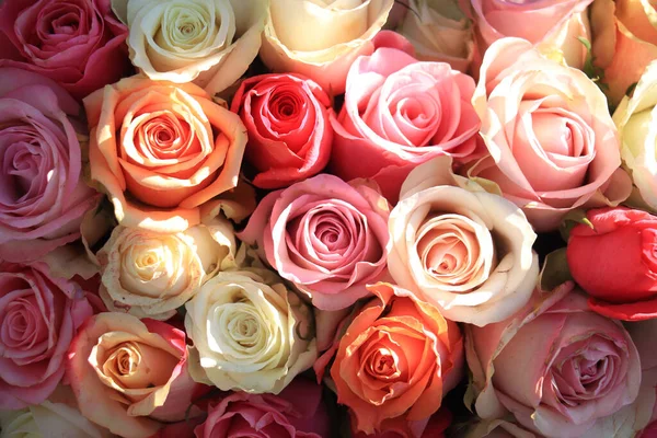 Arranjo Flores Nupciais Com Rosas Muitas Cores Pastel — Fotografia de Stock