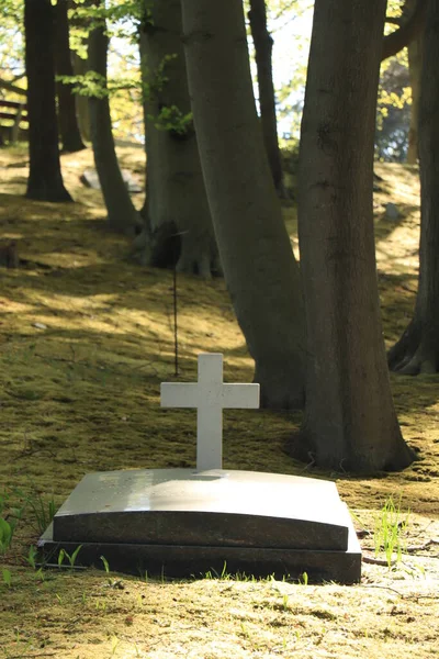 Una Sola Tumba Cementerio Forestal —  Fotos de Stock