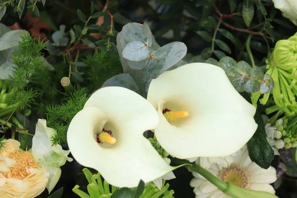 Çiçek Aranjmanında Büyük Beyaz Arum Zambakları — Stok fotoğraf