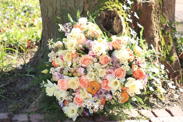 Herzförmige Sympathieblüten Neben Einem Baum Verschiedene Blumen Pastellfarben — Stockfoto