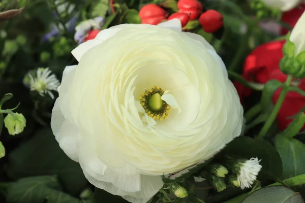 Nagy Fehér Ranunculus Esküvői Csokorban — Stock Fotó