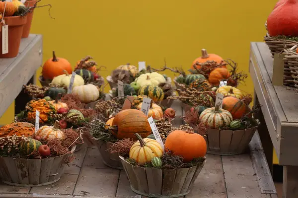 Velserbroek Niederlande Oktober 2018 Herbstdekoration Einem Schaufenster Text Auf Tags — Stockfoto