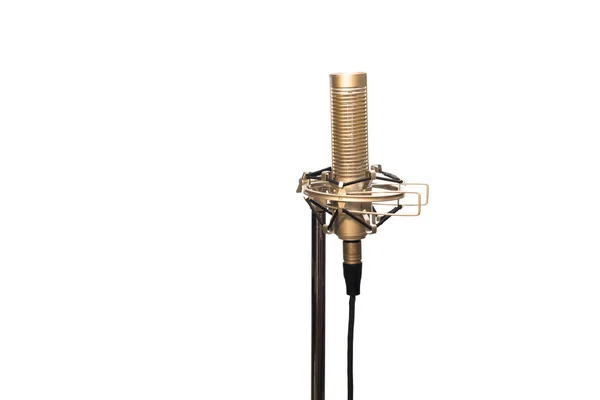 Páskový dynamický mikrofon s kabelem, shockmount a stojan izolované na bílém — Stock fotografie